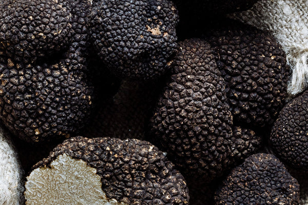 fresh truffle - Artisan de la Truffe