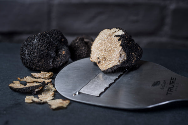 Start of the summer truffle season
