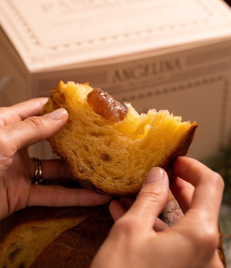 Panettone with Candied Chestnuts