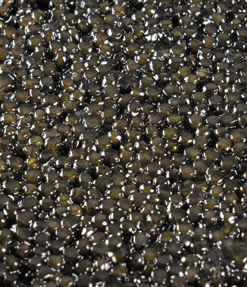 Baeri Caviar Selection