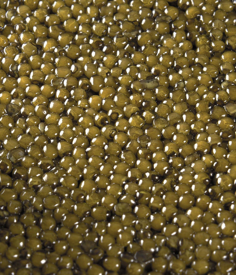 Caviar Platine®