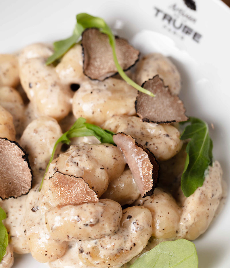 Gnocchi with mushroom sauce and summer truffle