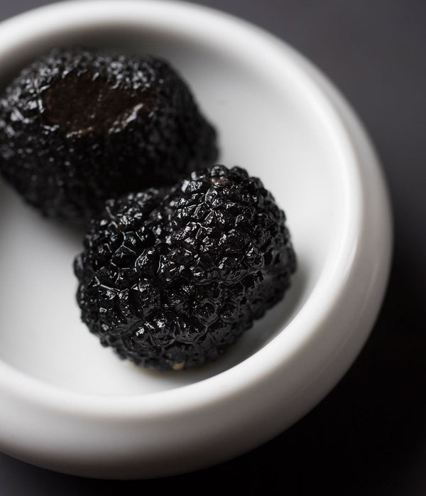 Comment conserver une truffe fraîche pour en profiter au maximum