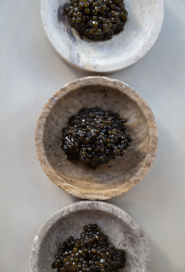 Coffret Caviar Nano Baeri x Osciètre - 2x10g