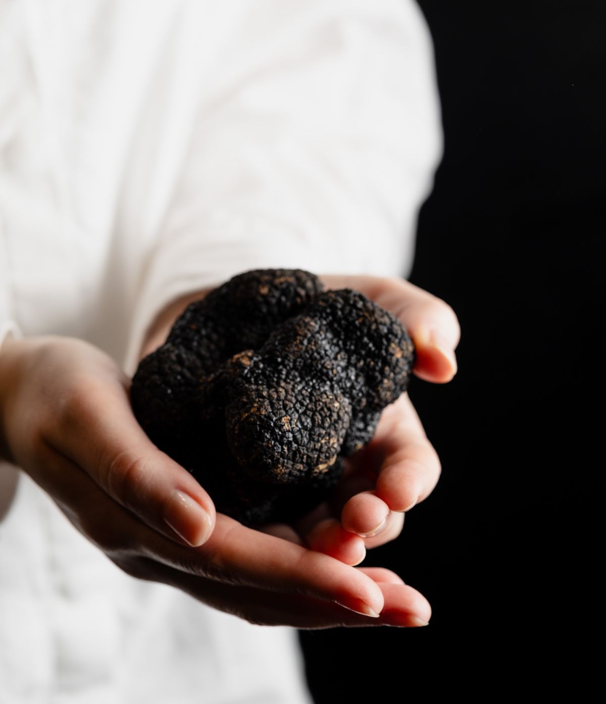 Truffe fraîche 500g