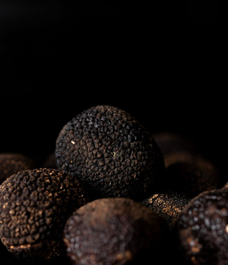 Truffe fraîche