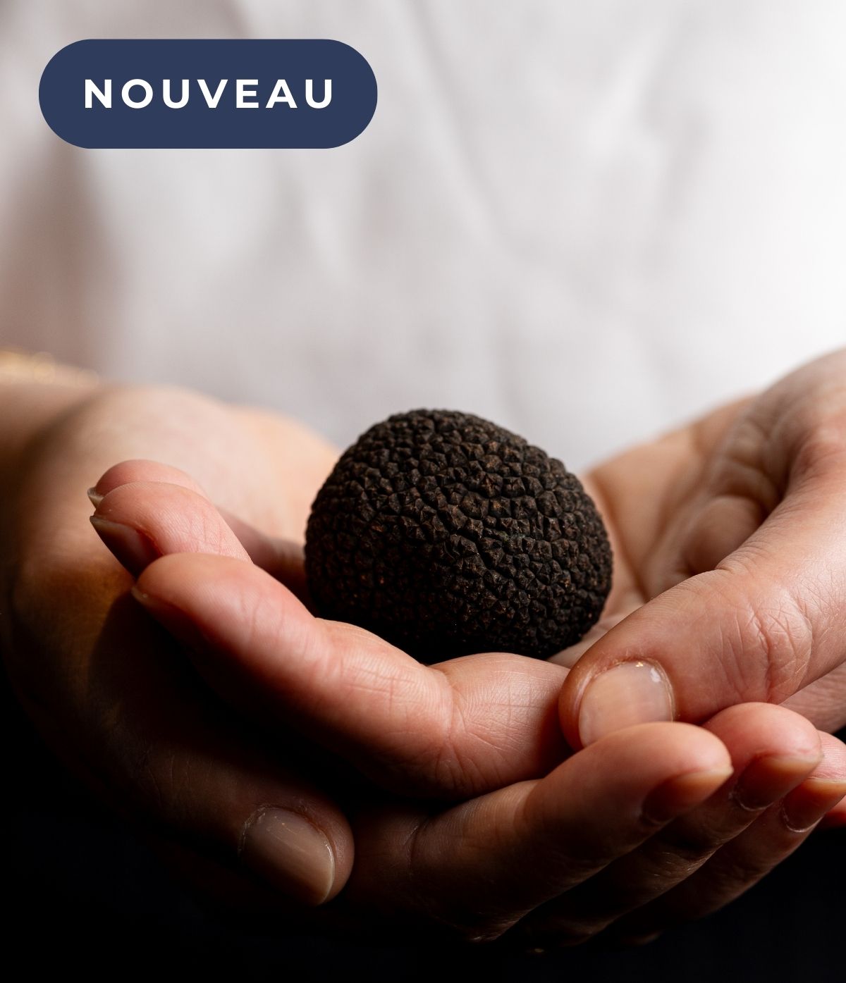Truffe fraîche