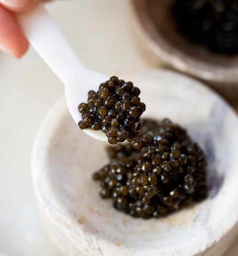 Caviar Osciètre