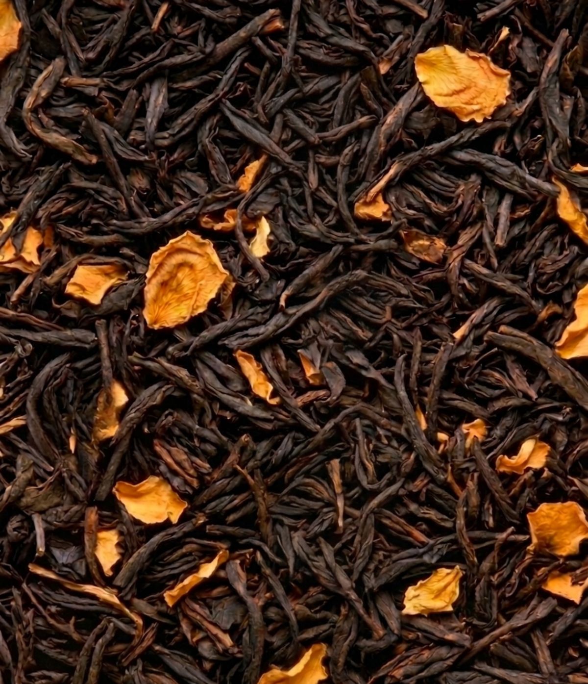 Thé n°226 au Cacao