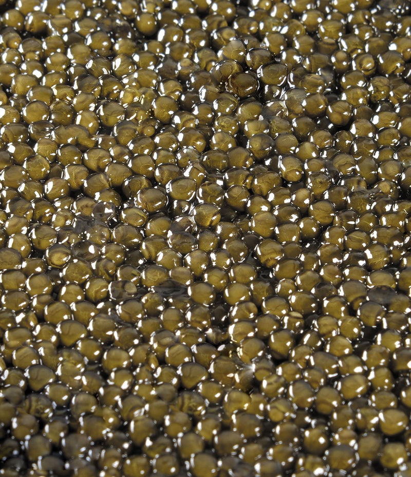 Coffret Caviar Osciètre
