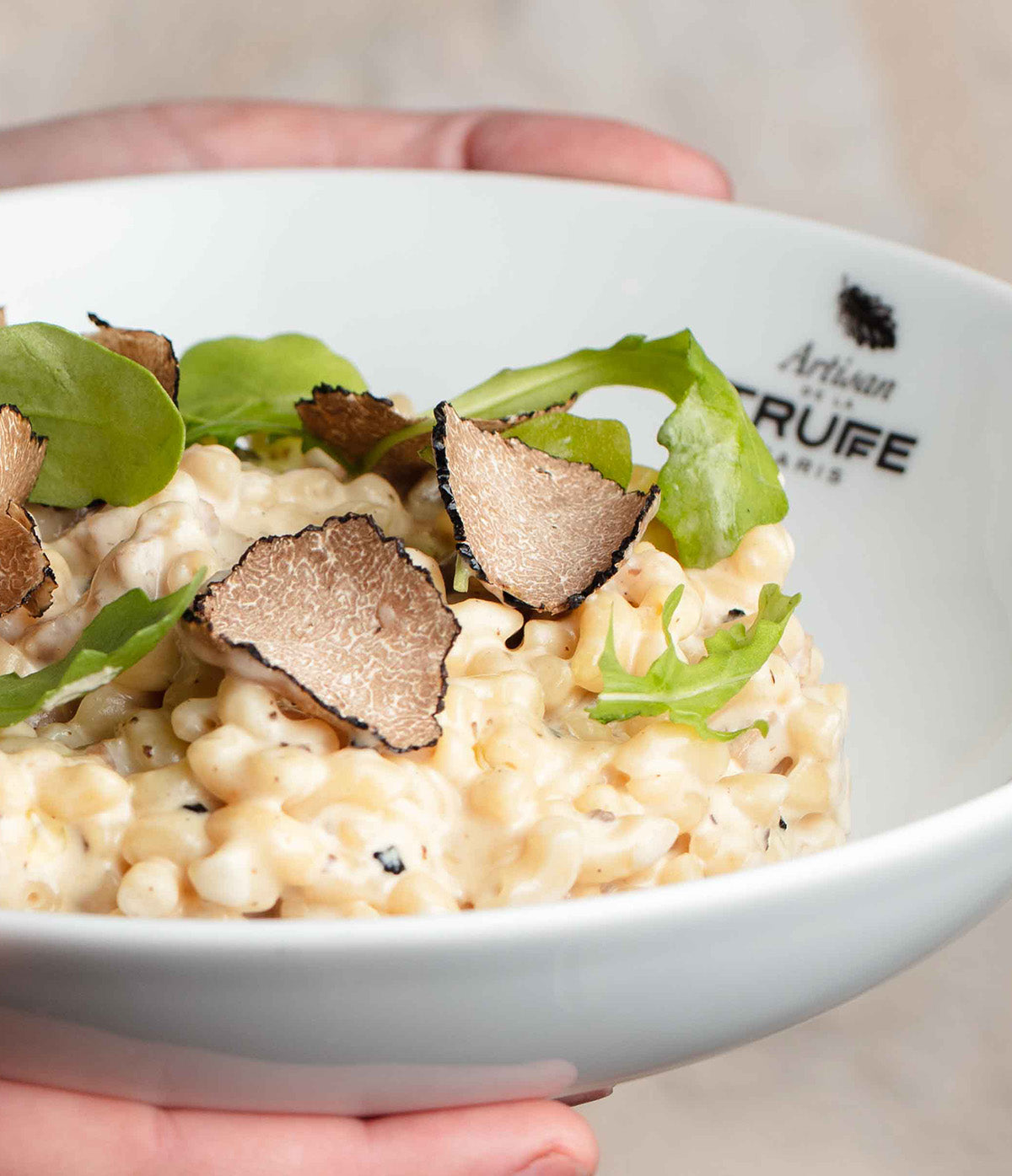 Coquillettes au jambon et sauce à la truffe d'été